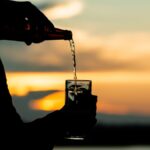 Traveller Whiskey: The Ultimate Guide to the Spirit Designed